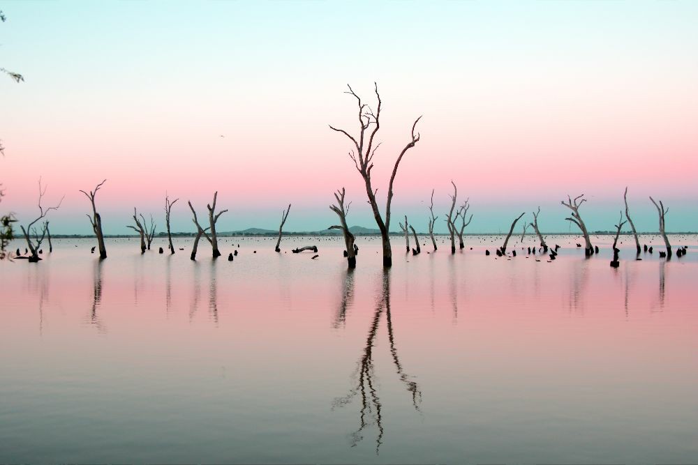 Kow Swamp at dusk